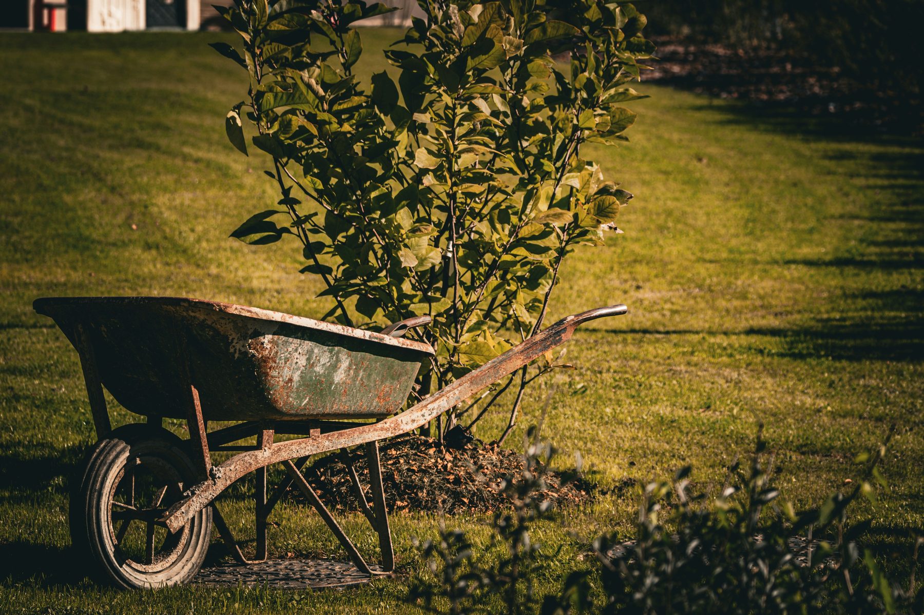Fresh mulch and garden bed landscaping